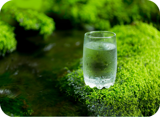 철저한 정제와 위생