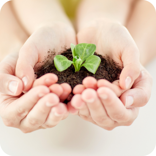 지속가능한 미래